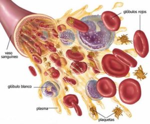 Dutasterida plasma